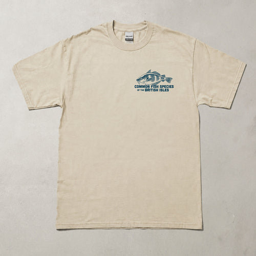Common British Fish Species Beige T Shirt