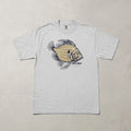 John Dory White T Shirt
