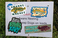 Lure Kayak LRF Sticker Pack