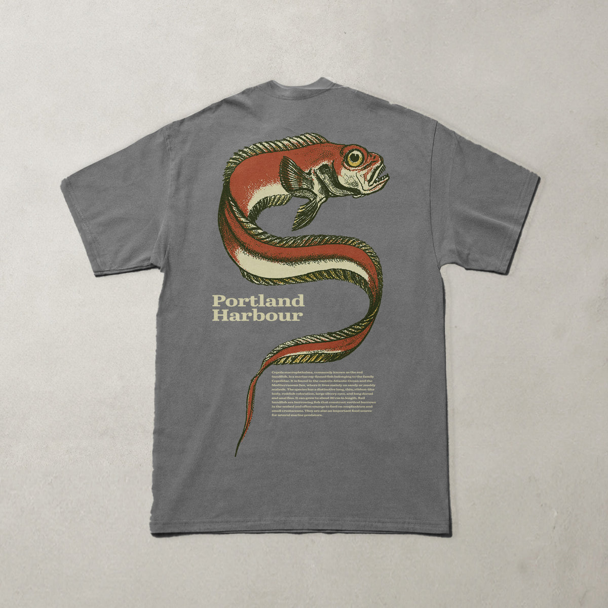 Portland Harbour Pepper-Black T Shirt